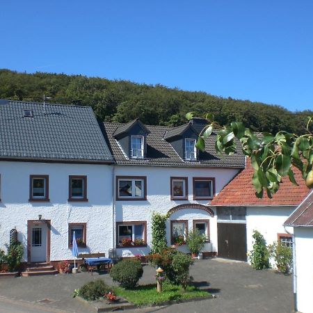 Ferienhof An Der Lay Kerpen  Kültér fotó