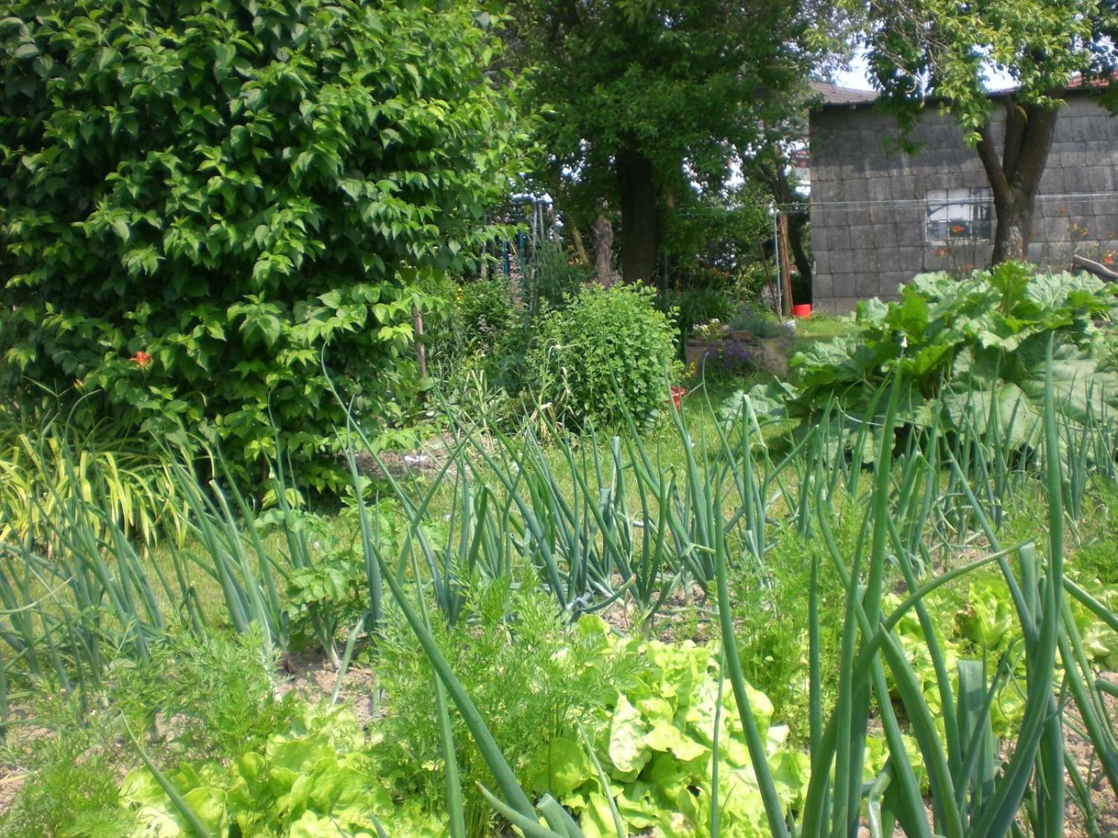 Ferienhof An Der Lay Kerpen  Kültér fotó