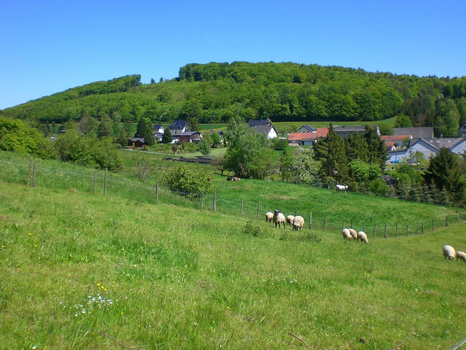Ferienhof An Der Lay Kerpen  Kültér fotó