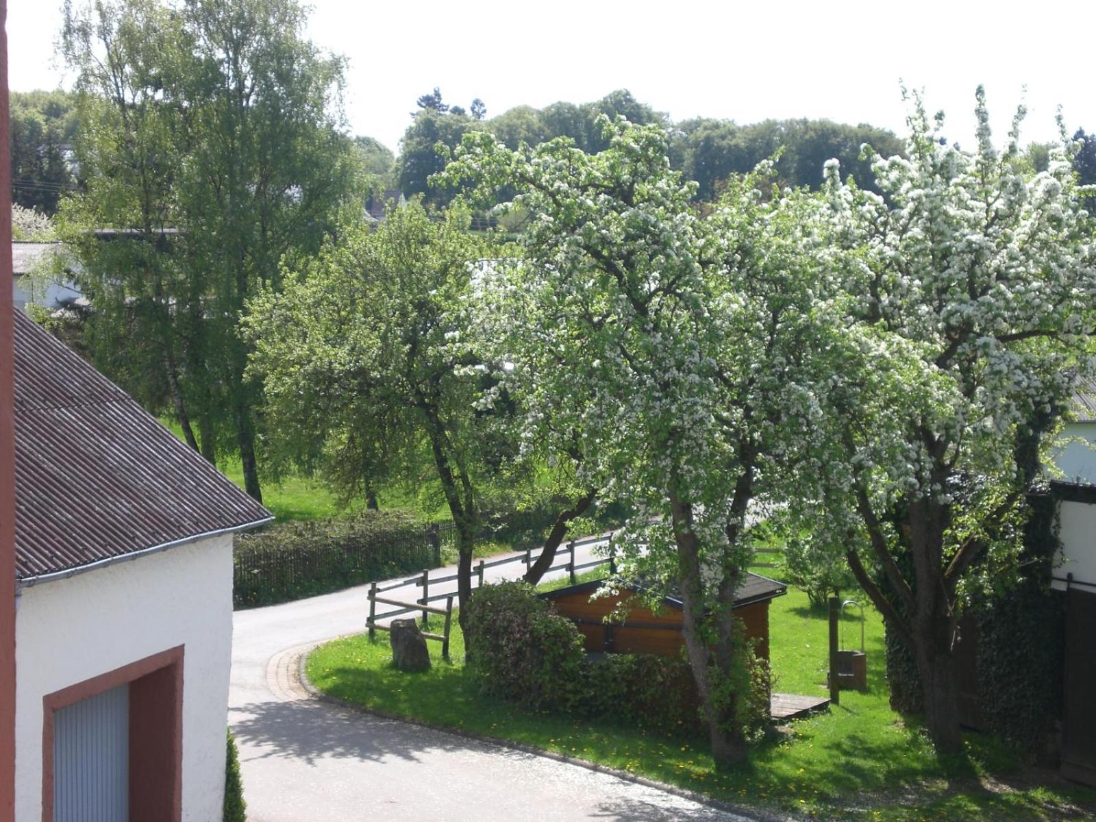 Ferienhof An Der Lay Kerpen  Kültér fotó