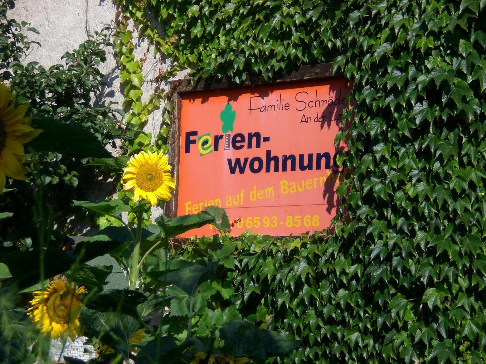 Ferienhof An Der Lay Kerpen  Kültér fotó