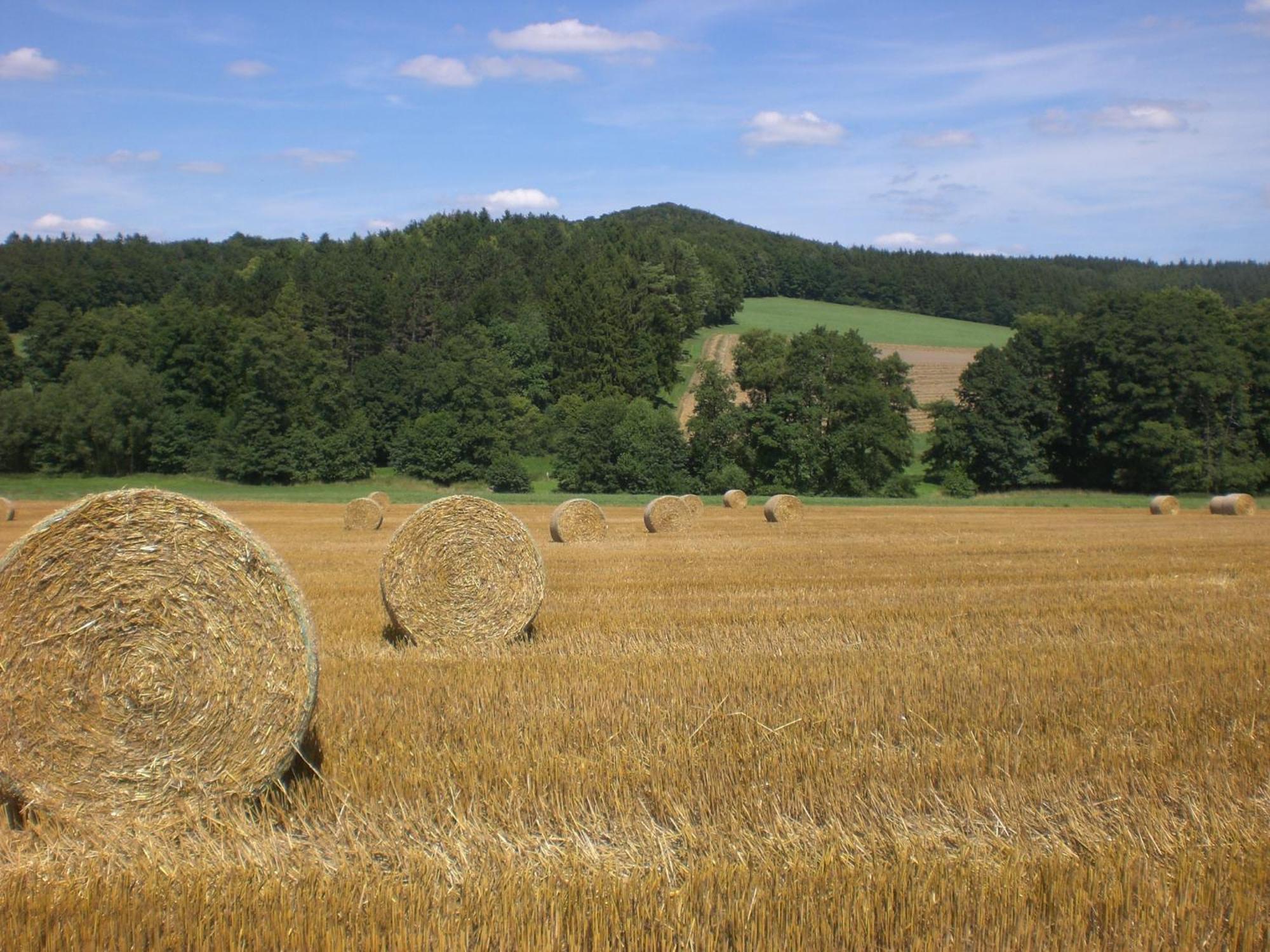 Ferienhof An Der Lay Kerpen  Kültér fotó