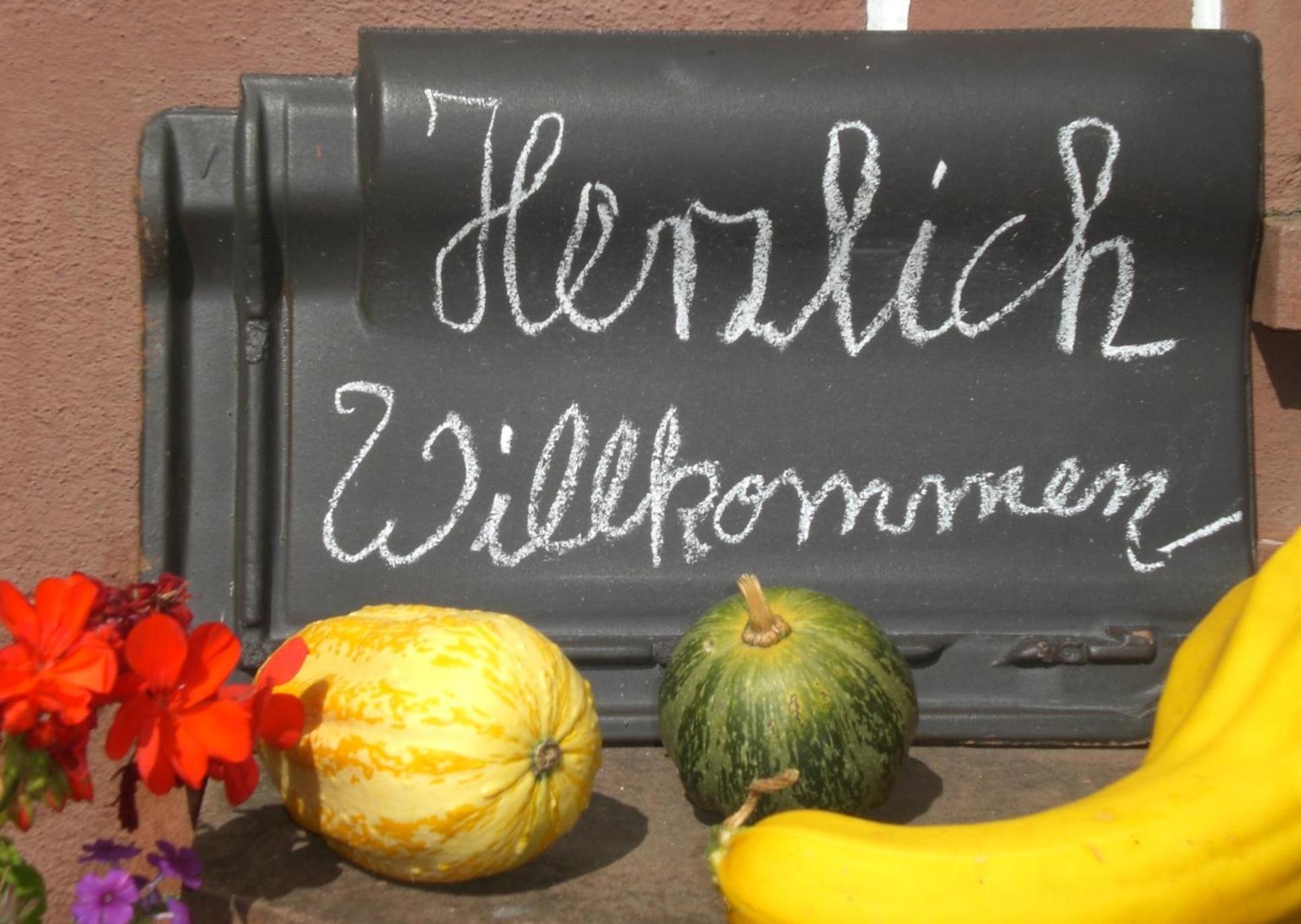 Ferienhof An Der Lay Kerpen  Kültér fotó