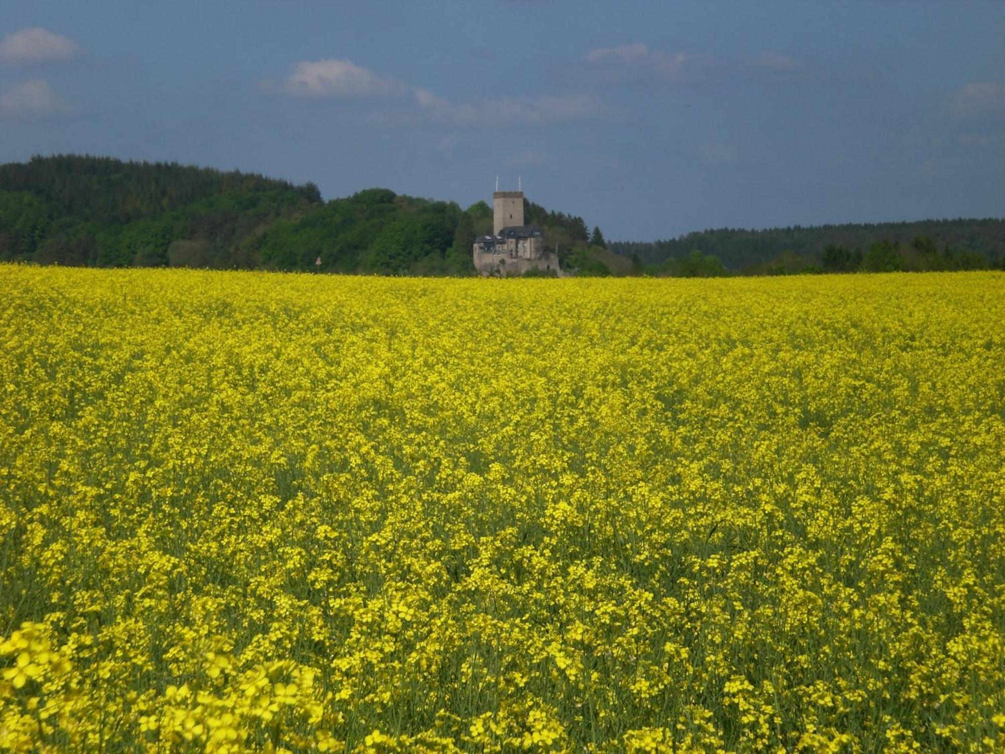 Ferienhof An Der Lay Kerpen  Kültér fotó