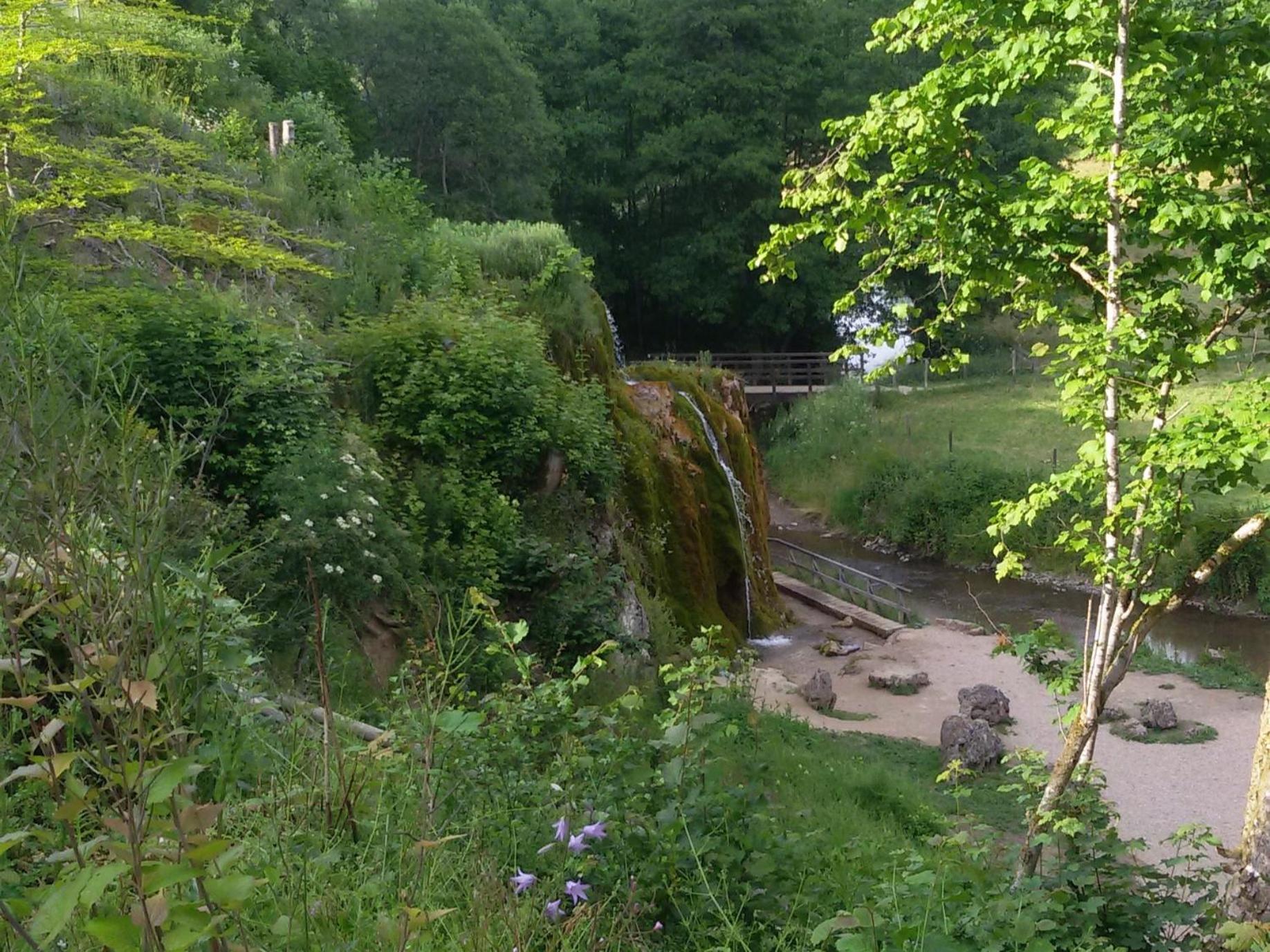 Ferienhof An Der Lay Kerpen  Kültér fotó