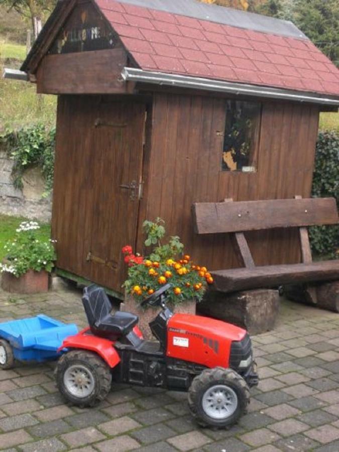 Ferienhof An Der Lay Kerpen  Kültér fotó